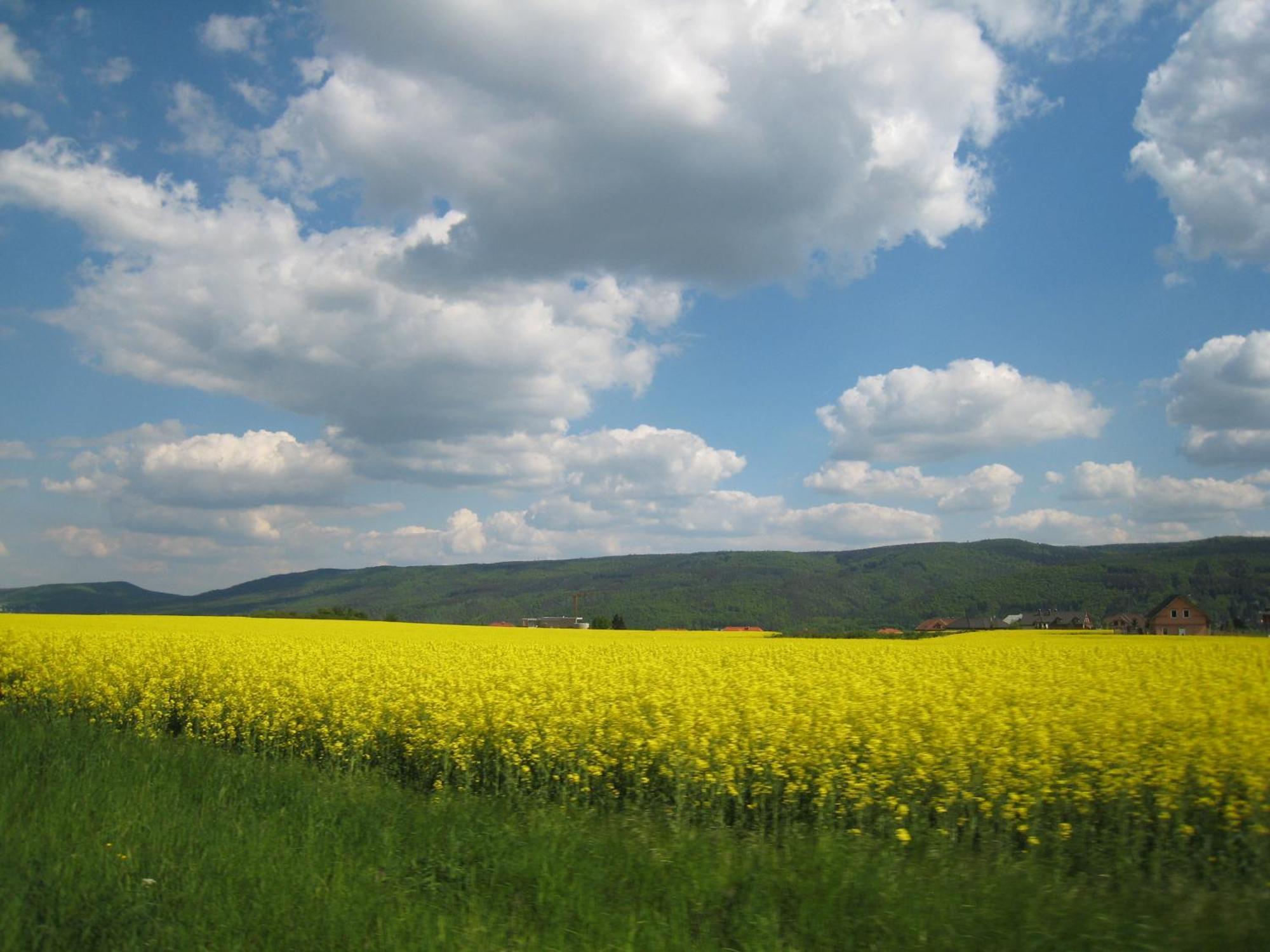 Penzion Speller Vysoký Újezd Exteriér fotografie